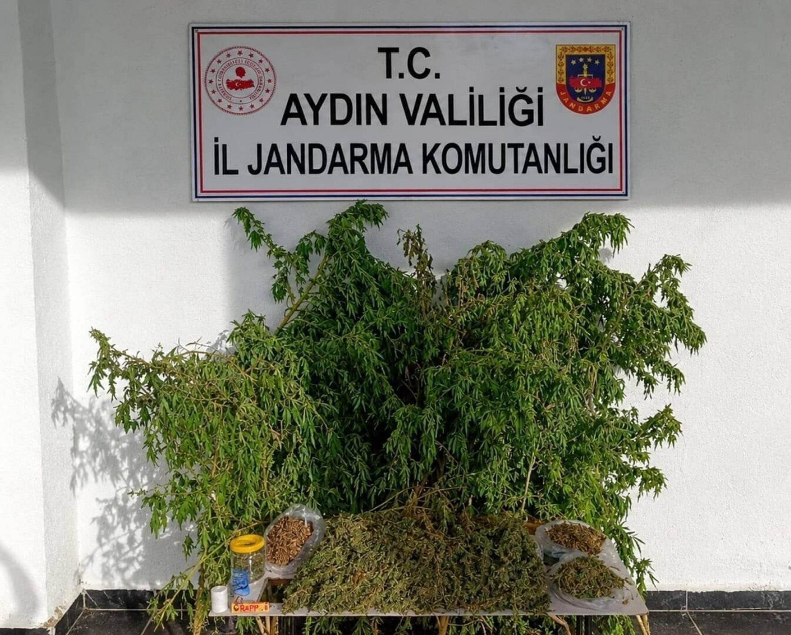 İncirliova’da Uyuşturucu Operasyonu: Kilolarca Esrar Ele Geçirildi