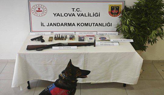 Yalova’da Ormanlık Alanda Uyuşturucu Ve Silah Operasyonu